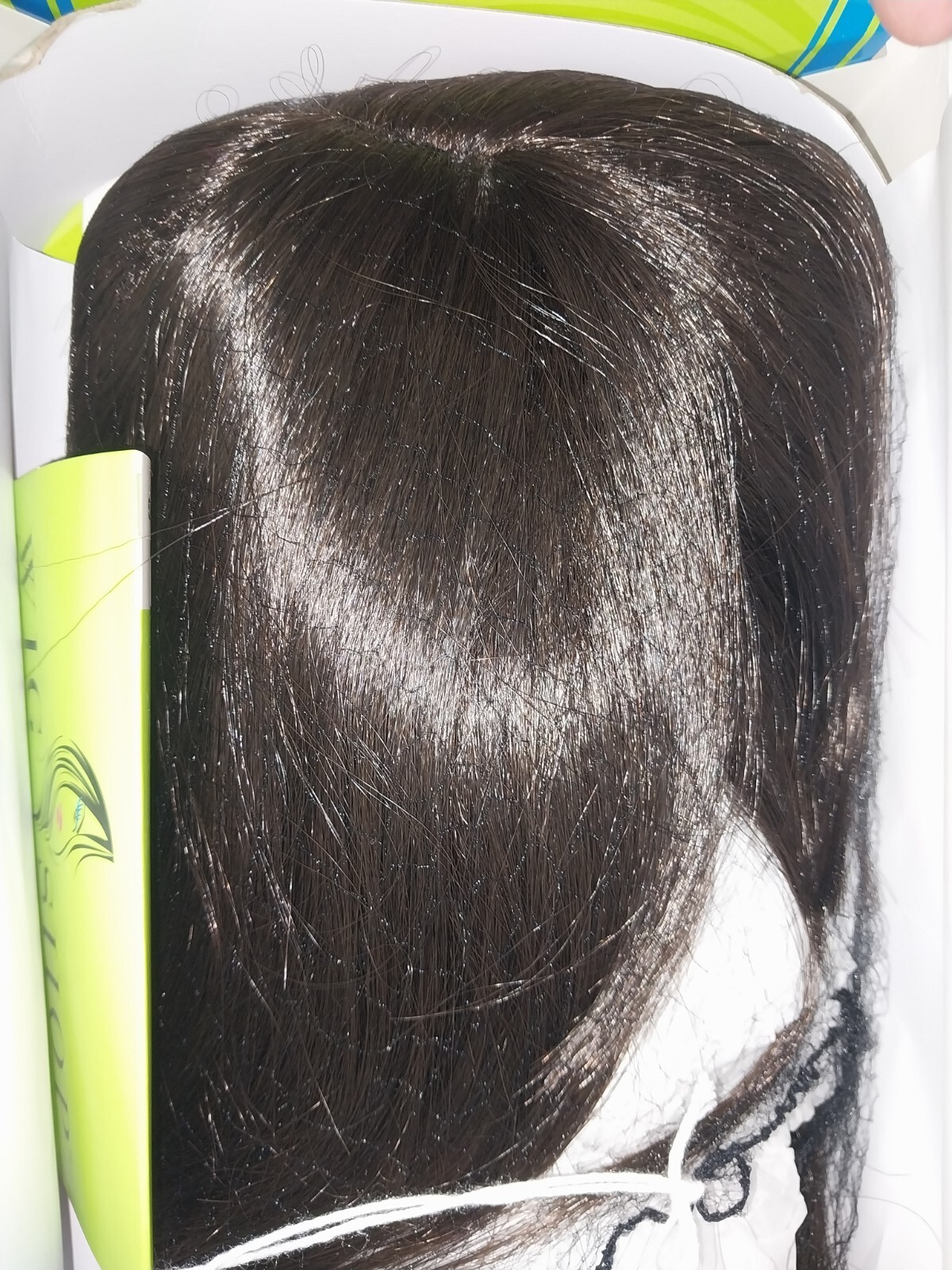 WigShop Drew Wig in Dark Walnut (Average Size) + Shampoo/Conditioner/Accessories