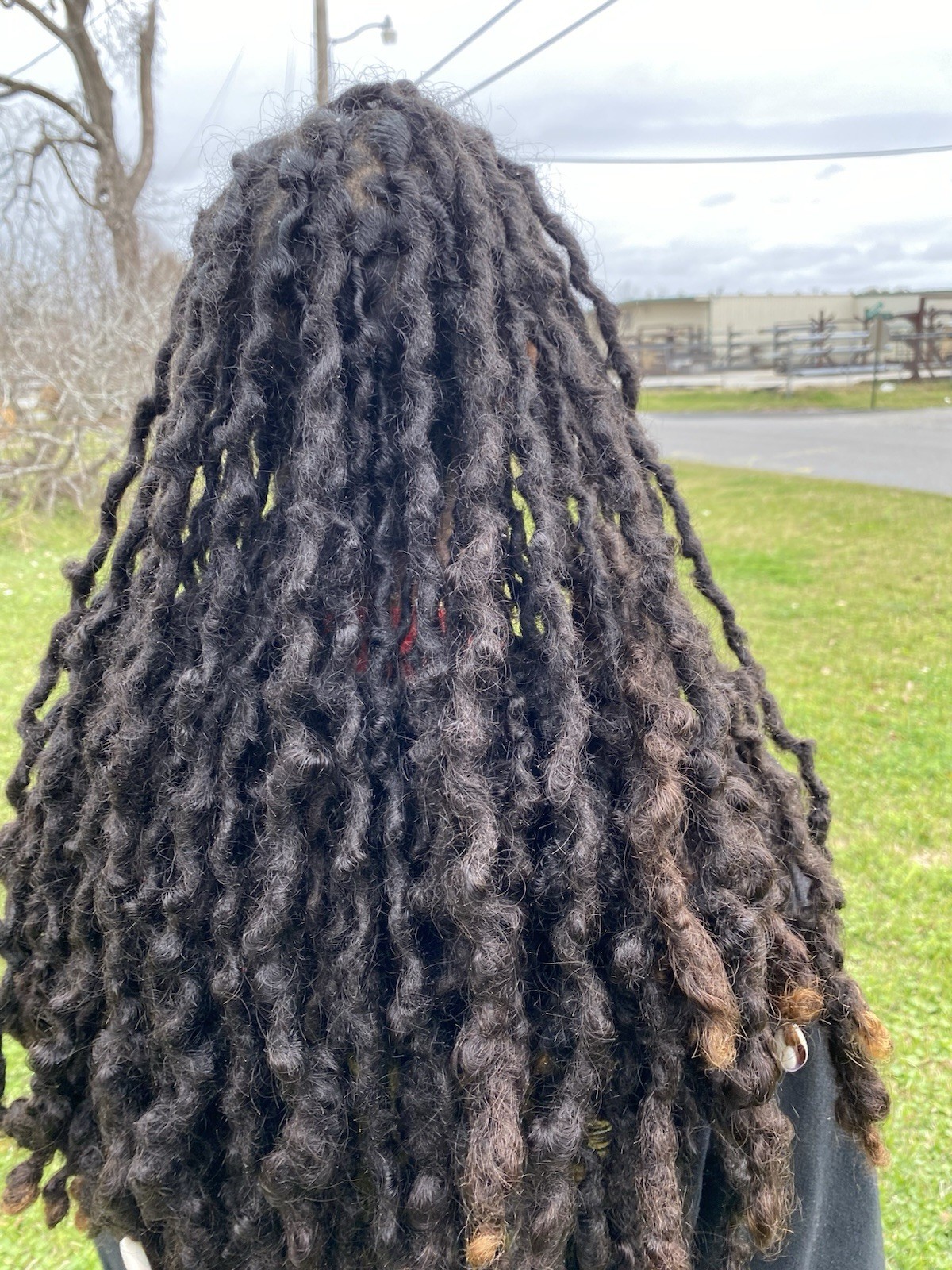 Human Hair Dreadlocks 100% Real 16-19” In Length