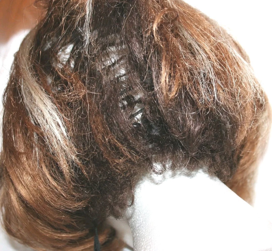 EURO JAPANESE FIBER FULL WIG HAIR STRAIGHT BLONDE FROSTED AUBURN BROWN AVERAGE