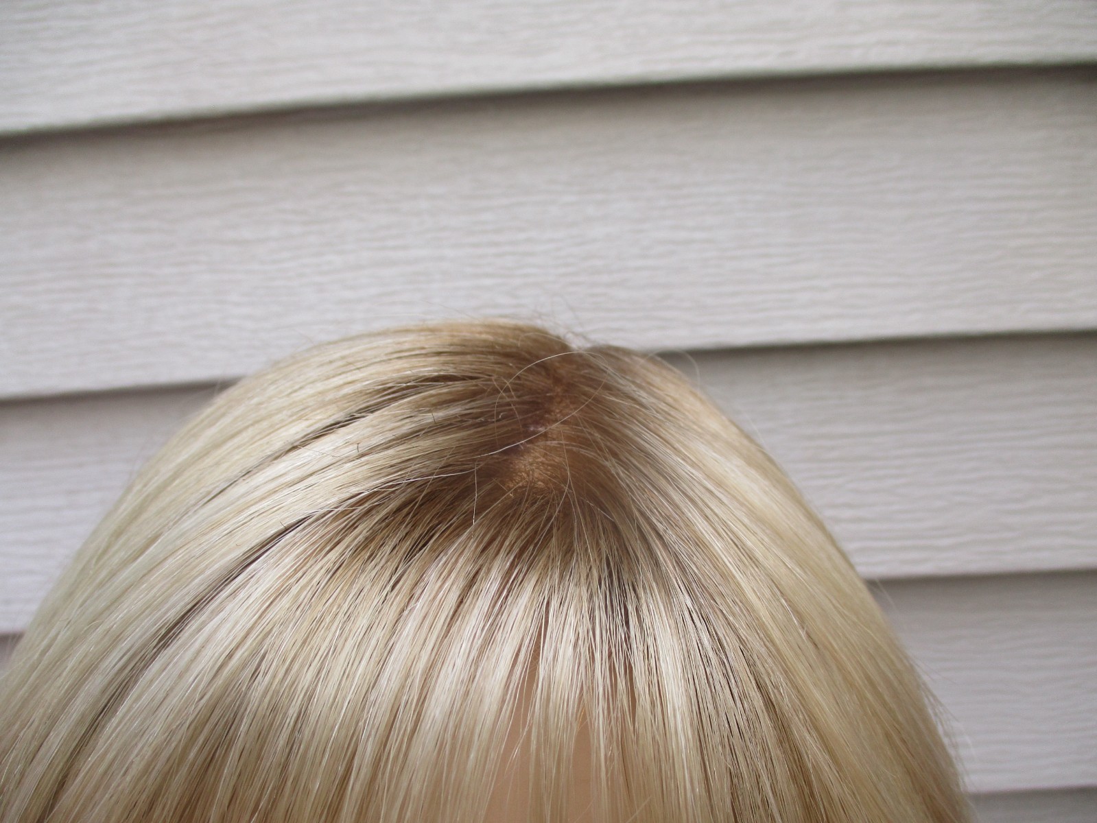 Ellen Wille Wig ECHO Color SANDY BLONDE Lace Front Mono Part READ