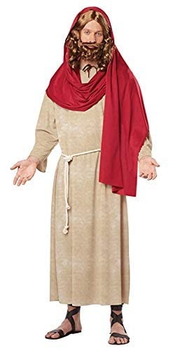 My Costume Wigs Men’s Classic Jesus Dark Brown Wig One Size fits all,