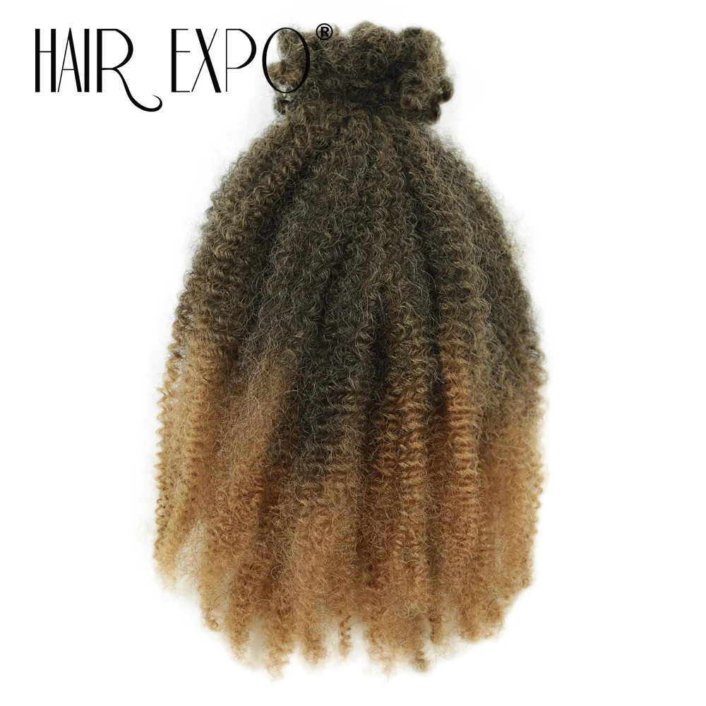 12Inch Ombre Afro Kinky Curly Bulk Synthetic Crochet Braiding Hair Extensions