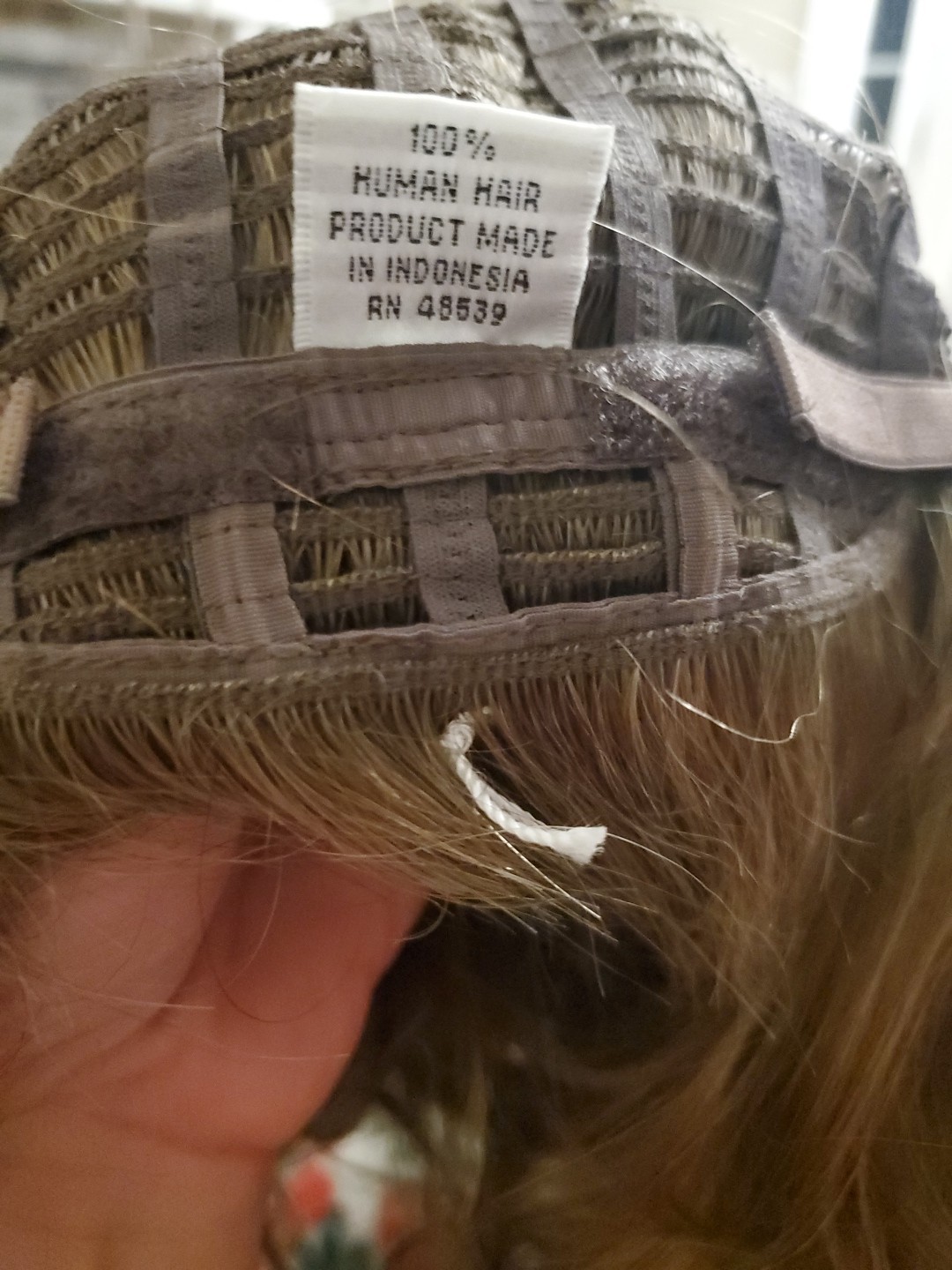 NWT Pantene Expressions Petite Average Honey Pecan Human Hair Wig R12/26H