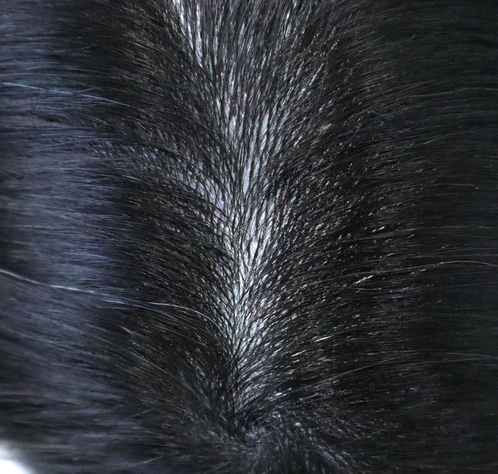 Mens Toupee Injected Skin Hair Replacement System 100% Human Remy 8” Hair Piece
