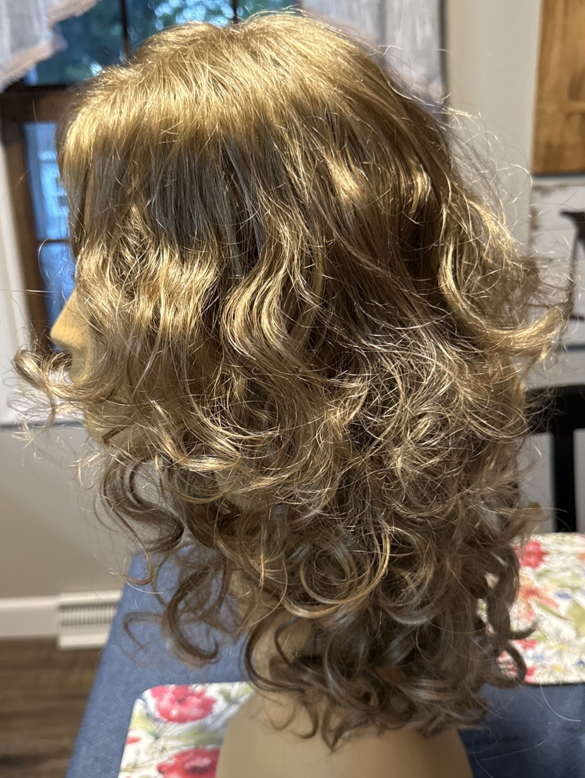 Estetica Designs Gorgeous Naturelle Front Lace Everly R14/26H Synthetic Wig