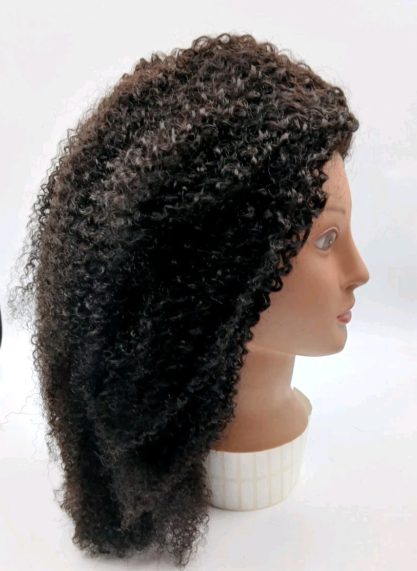 Queen Of Hair Curly Afro Style Lace Front Wig 1B30 Black Womens 18″ Hair Wigs