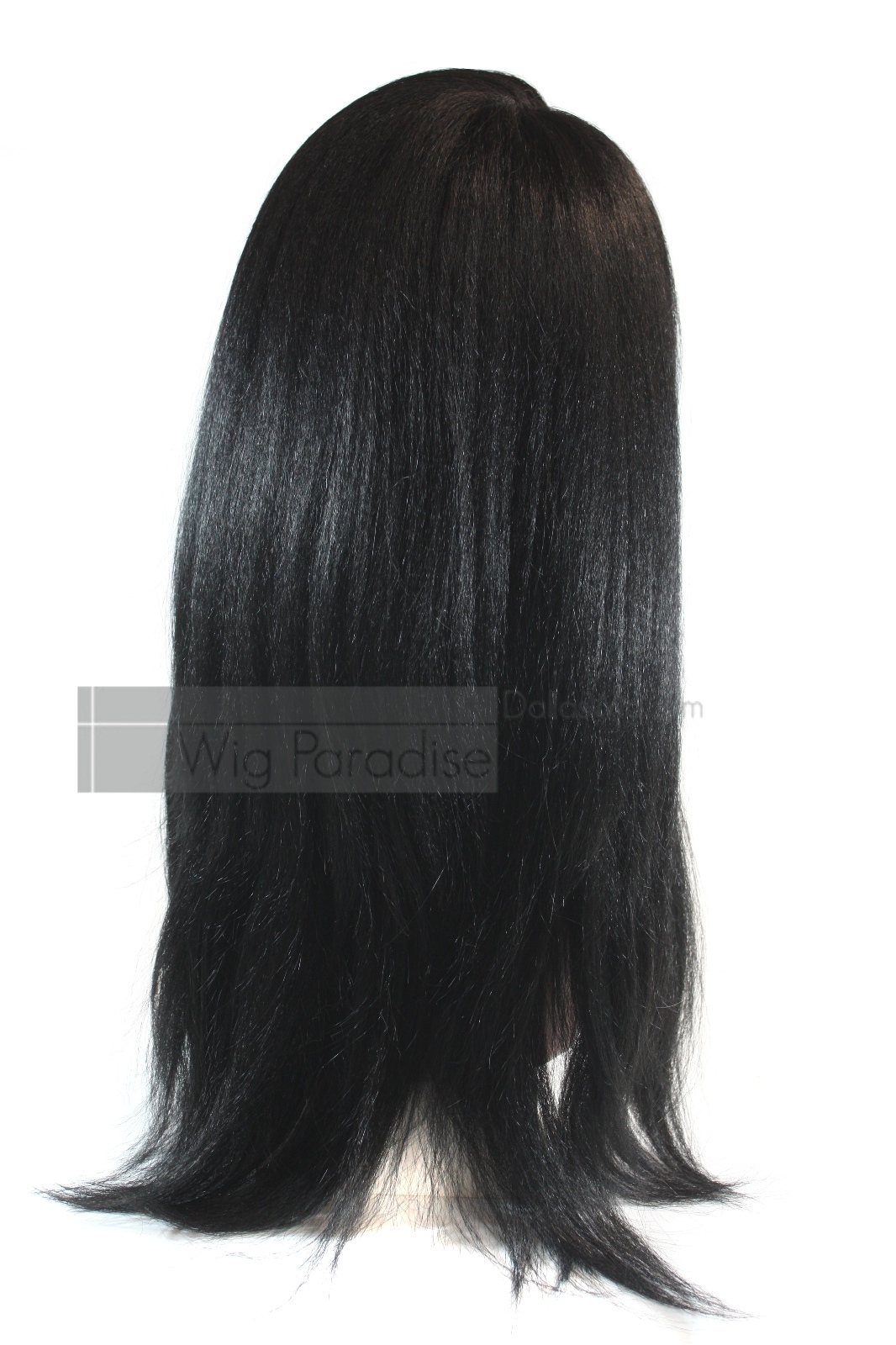 Signature Looks Synthetic Straight Coarse Yaky Texture SK519 Lace Front Wig