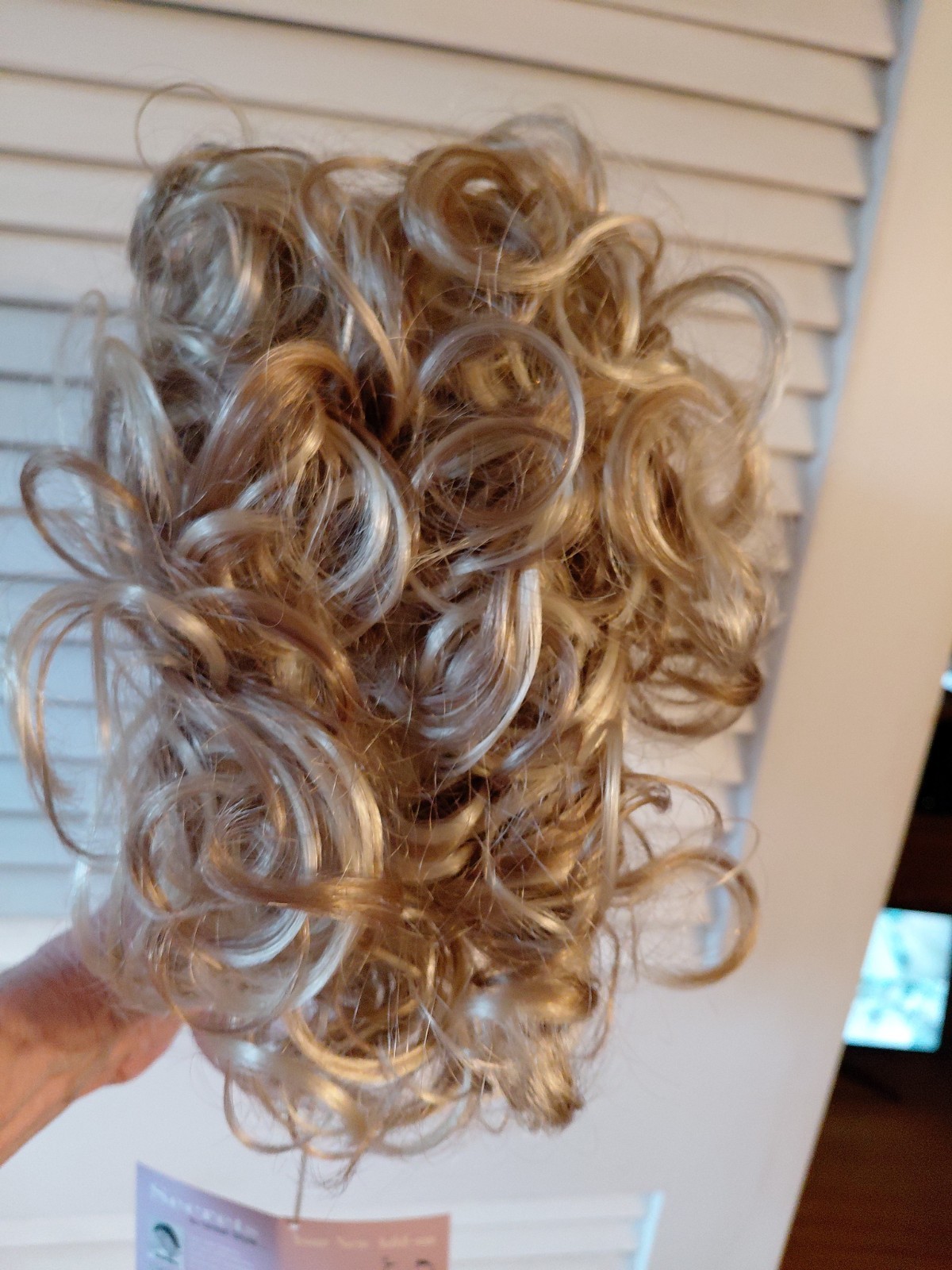 Paula Young Synthetic Blonde Highlighted Clip On Hairpiece 8-10 In