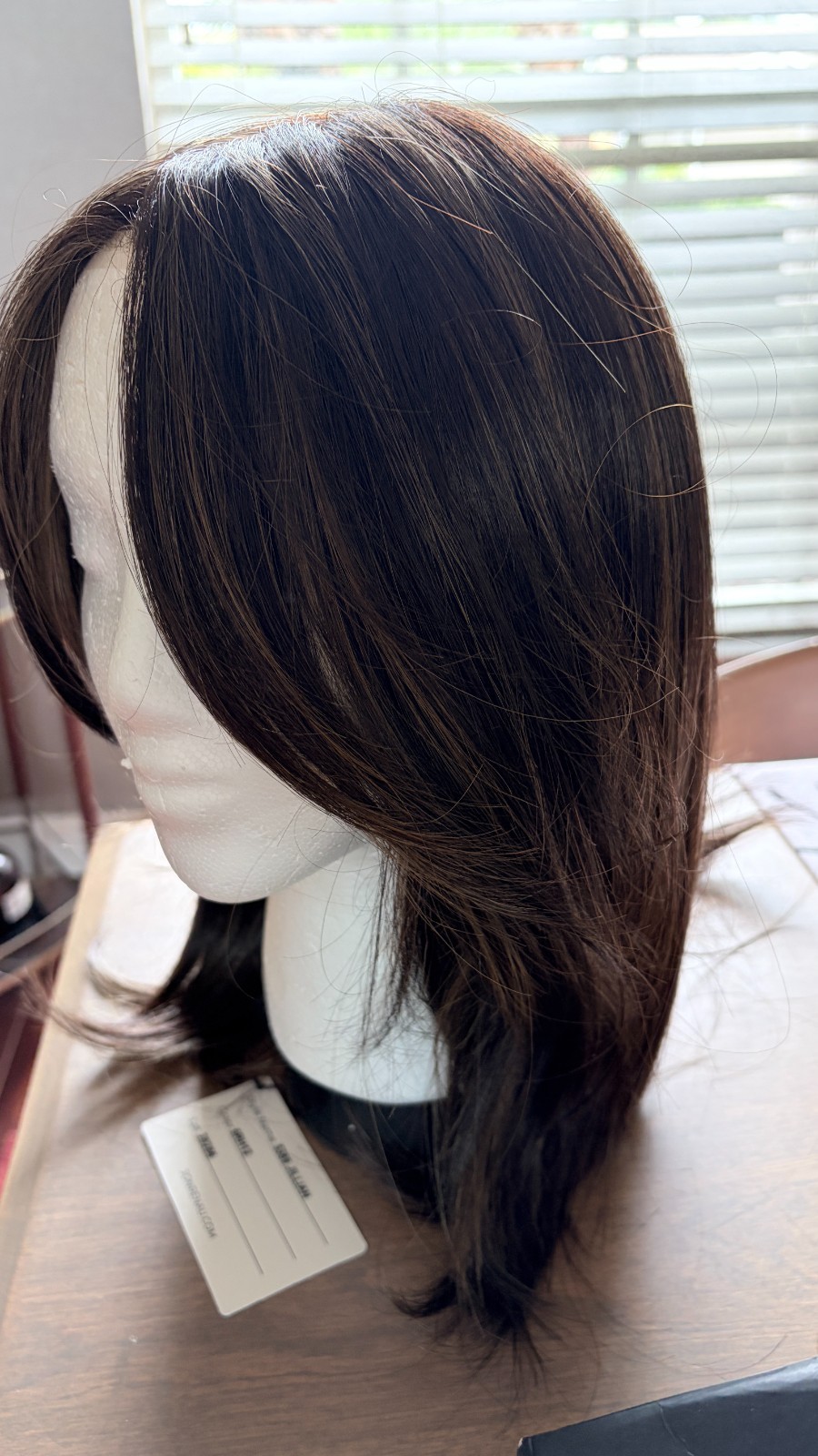 JILLIAN Wig by JON RENAU Extended Lace Front, Mono Top, NWT Color 6RH12
