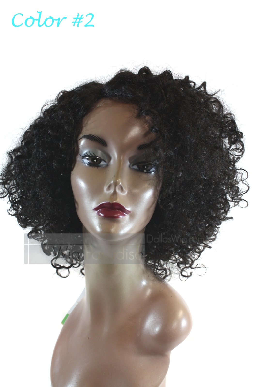 Femi Collection Full Curly Heat Resistant Deep Part Tina Lace Front Wig