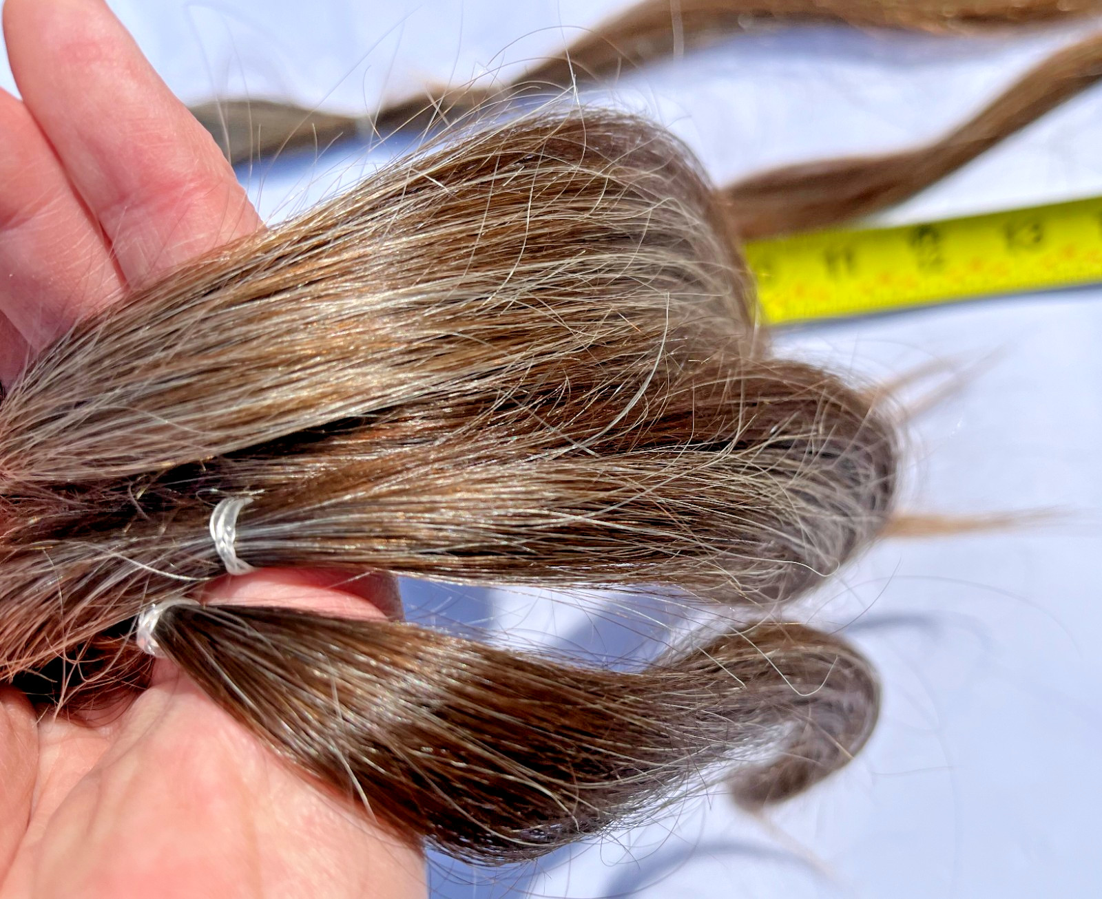 19-21 inches 3.1 oz. Virgin European Auburn Natural Gray Mix Human Hair Healthy!