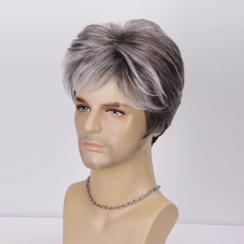 Fashion Light Gray Short Synthetic Hair Wig for Men Daily Wear for Middle Aged