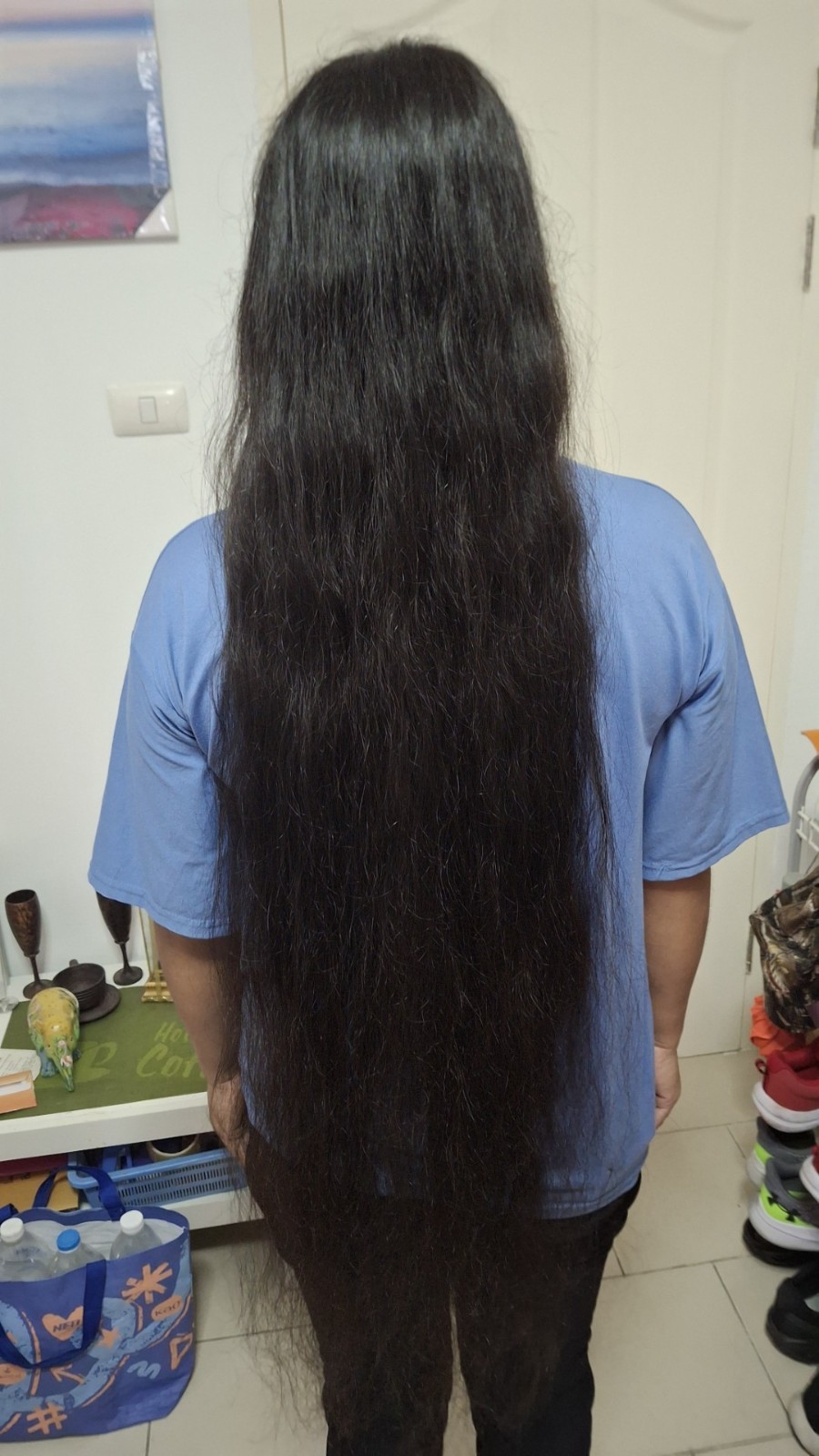 Ponytail from Myanmar female: 32 inches of silky hair