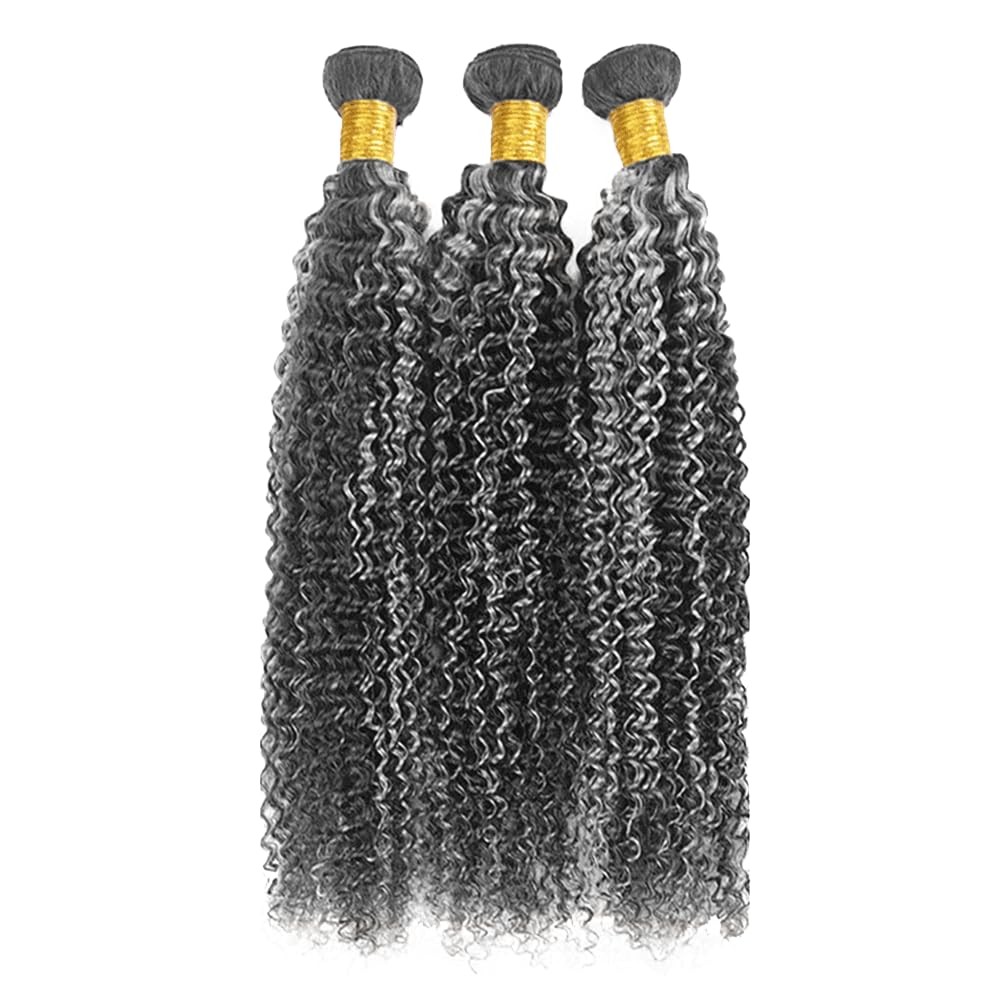 Fridnae Ombre Bundle P1Bgray Curly Wave Human Hair Bundles Salt And Pepper