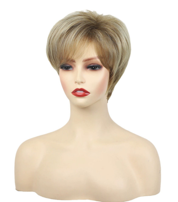 Chic Cut Short Layered Blonde Mix Synthetic Hair Wigs Women Soft Party Daily Use
