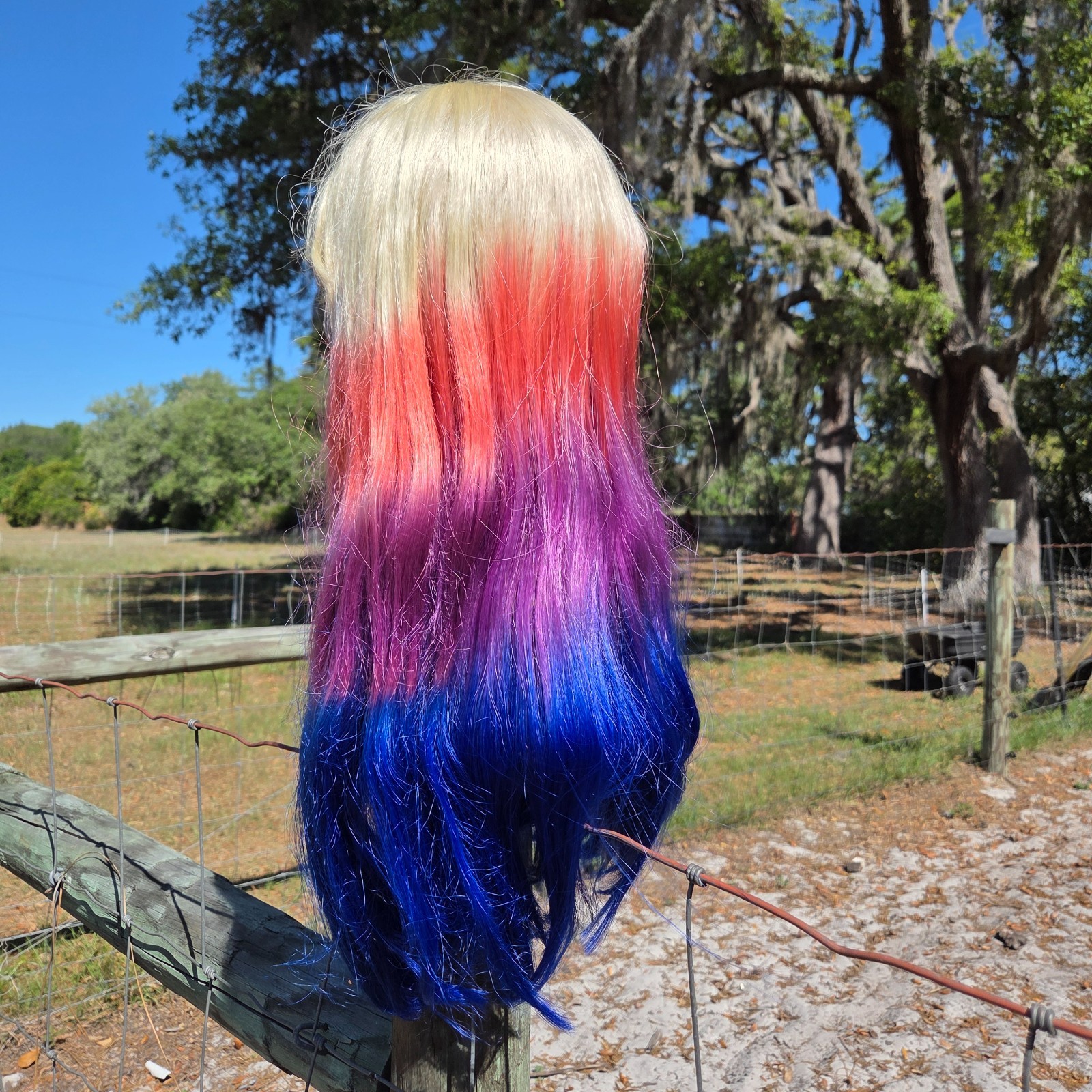 Jon Renau Full Lace Front Wig Long Colorful Bright Pride Blonde Bangs Dyed