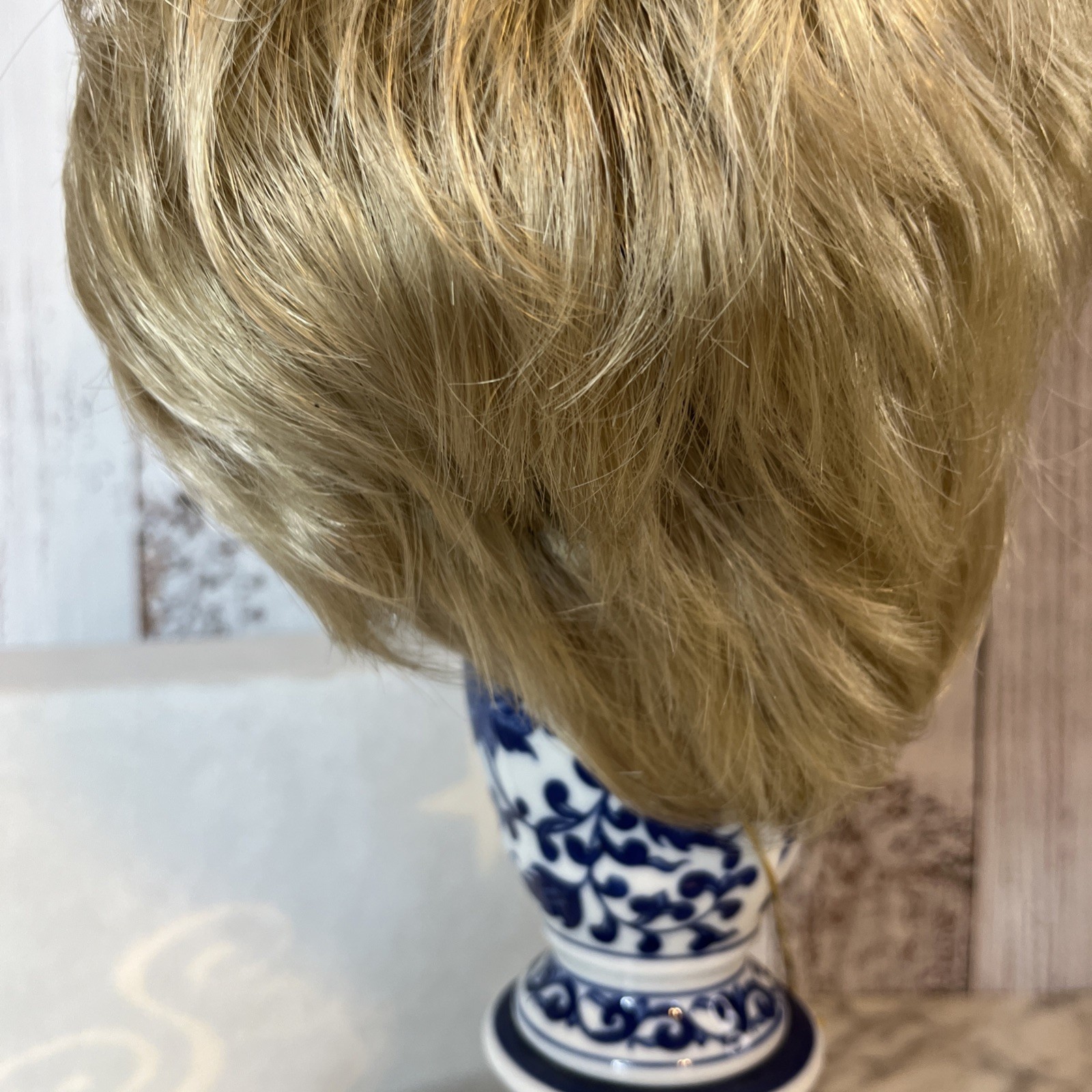 The Wig Company Starstyle Wig Blonde K225 Erika Average TWC 1999 Vincent James