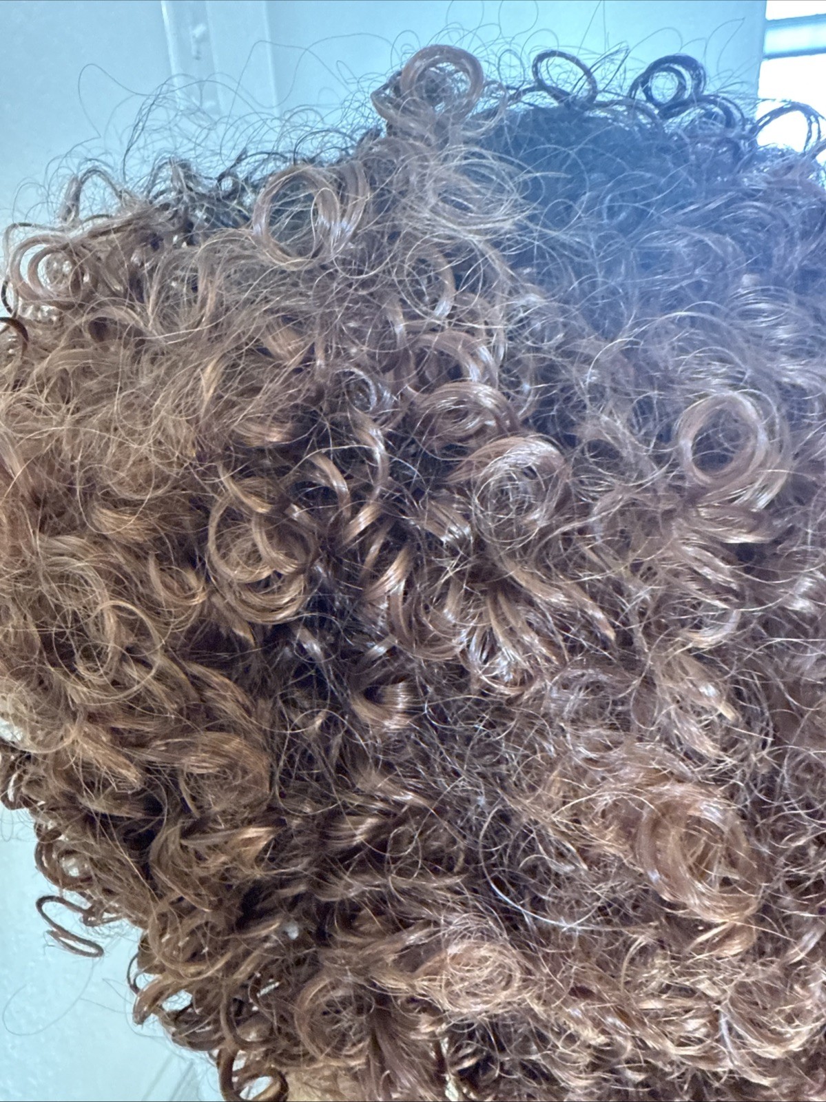 Kinky Curly Short Muti Colored Lace Cap Natural Brown /rooted 12” Synthetic 70
