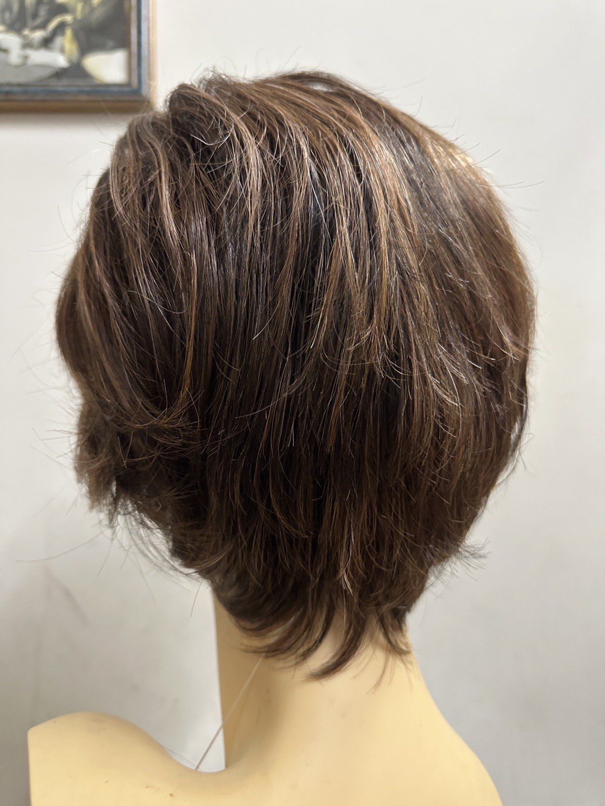 EASY DOES IT-RAQUEL WELCH WIG RL829SShadedHAZELNUTTem/TemLaceFrontMonoPrtMemCap3
